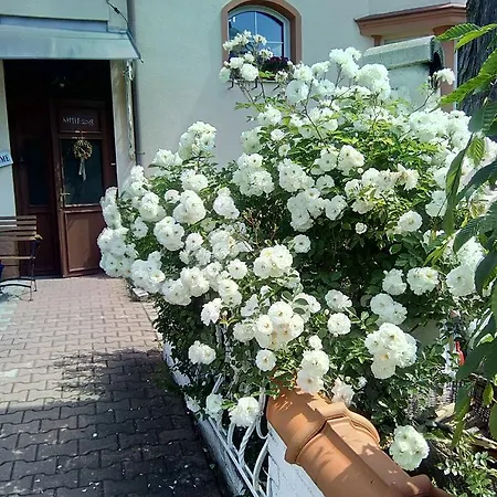 马里昂膳食公寓别墅酒店 招待所 玛丽亚温泉